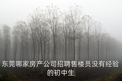 東莞哪家房產公司招聘售樓員沒有經驗的初中生