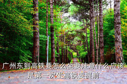 廣州東到高鐵要怎么坐要注意什么應該是第一次坐高鐵要提前