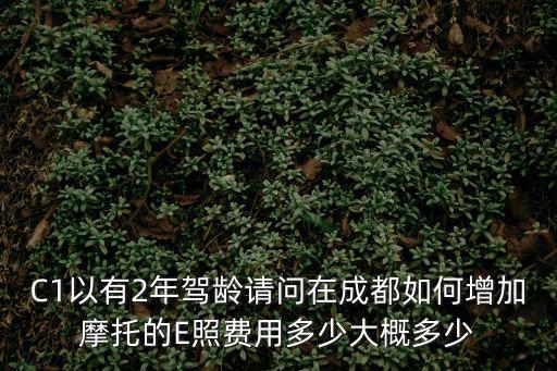 C1以有2年駕齡請問在成都如何增加摩托的E照費用多少大概多少