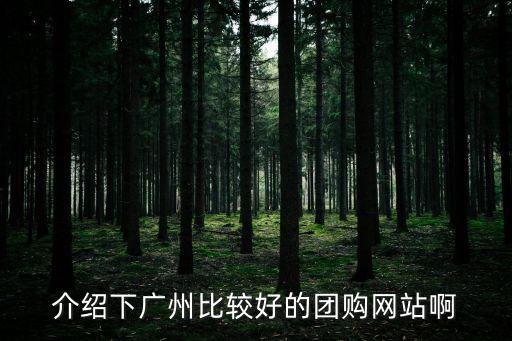 介紹下廣州比較好的團(tuán)購(gòu)網(wǎng)站啊