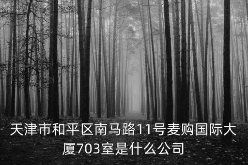 天津市和平區(qū)南馬路11號麥購國際大廈703室是什么公司