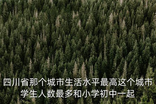 四川省成都市錦里小學的學生，請問成都市錦里小學學生中午是在學校吃還是回家吃飯啊謝謝