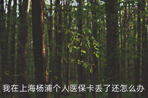 我在上海楊浦個人醫?？▉G了還怎么辦