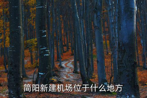 簡(jiǎn)陽新建機(jī)場(chǎng)位于什么地方