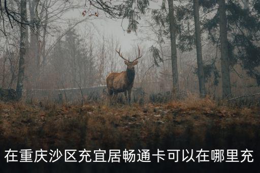 在重慶沙區充宜居暢通卡可以在哪里充