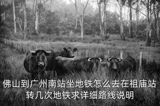 佛山到廣州南站坐地鐵怎么去在祖廟站轉幾次地鐵求詳細路線說明