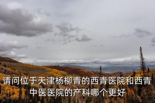 請問位于天津楊柳青的西青醫(yī)院和西青中醫(yī)醫(yī)院的產(chǎn)科哪個更好