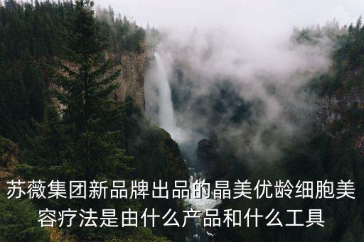 蘇薇集團新品牌出品的晶美優齡細胞美容療法是由什么產品和什么工具