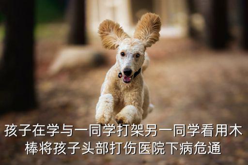 成都市二醫院學分打架，孩子在學與一同學打架另一同學看用木棒將孩子頭部打傷醫院下病危通