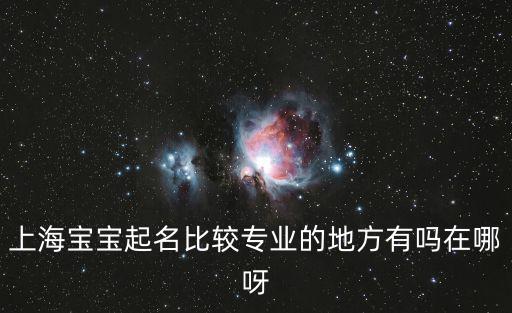 上海寶寶起名比較專業(yè)的地方有嗎在哪呀