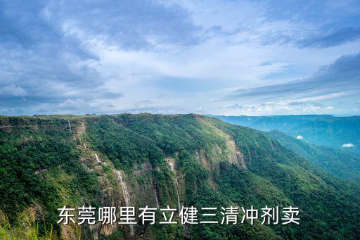 東莞哪里有立健三清沖劑賣