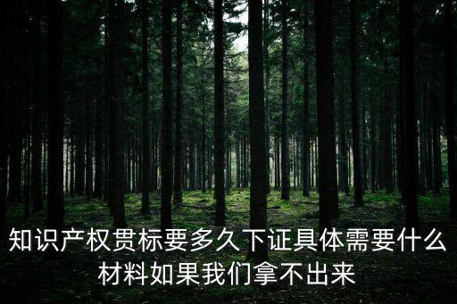 重慶市知識產(chǎn)權(quán)貫標(biāo)，如何做好知識產(chǎn)權(quán)貫標(biāo)工作