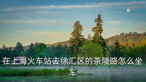 在上海火車站去徐匯區(qū)的茶陵路怎么坐車