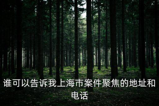 上海市委巡視辦地址，上海市紀委的網址是什么啊急用