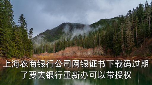 上海農商銀行公司網銀證書下載碼過期了要去銀行重新辦可以帶授權
