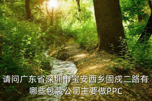請問廣東省深圳市寶安西鄉固戍二路有哪些包裝公司主要做PPC