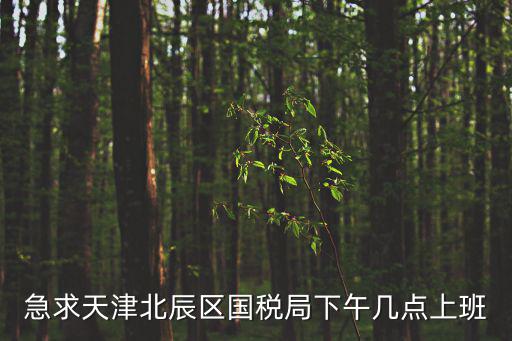 急求天津北辰區國稅局下午幾點上班