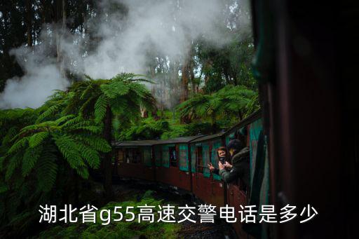 湖北省g55高速交警電話是多少