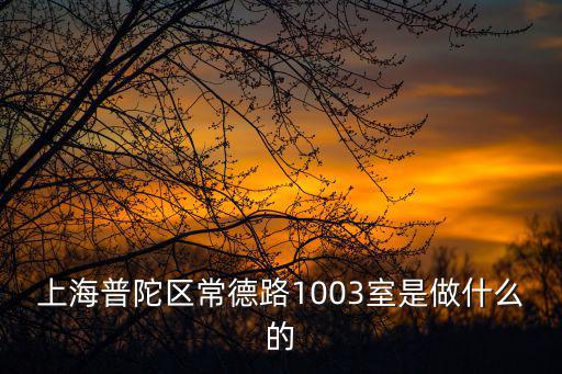 上海市普陀區 德路，上海普陀區常德路1003室是做什么的