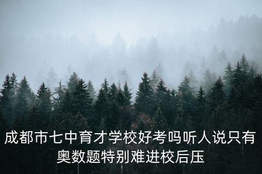 成都市七中育才學校好考嗎聽人說只有奧數題特別難進校后壓