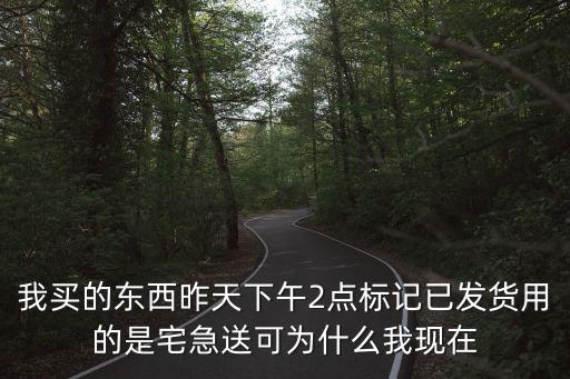 我買的東西昨天下午2點標記已發貨用的是宅急送可為什么我現在