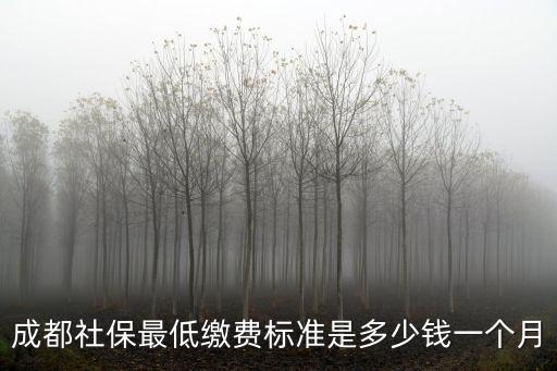 成都市社保一個月多少錢，成都的社保大概多少錢一個月