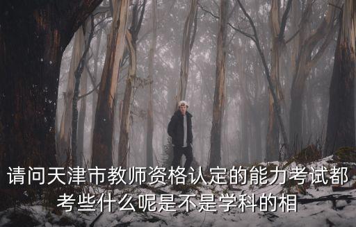 請問天津市教師資格認定的能力考試都考些什么呢是不是學科的相