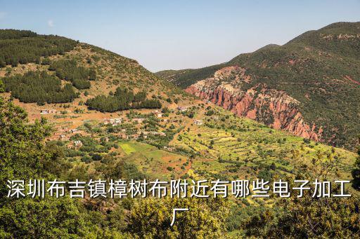 深圳布吉鎮樟樹布附近有哪些電子加工廠