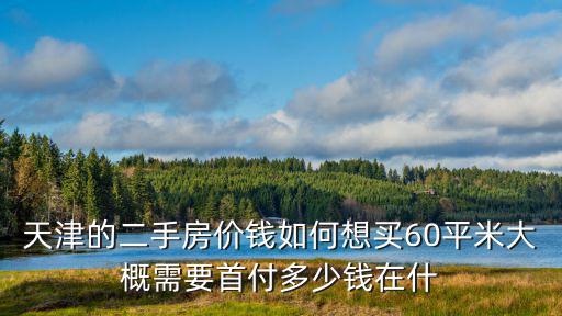 天津的二手房?jī)r(jià)錢如何想買60平米大概需要首付多少錢在什
