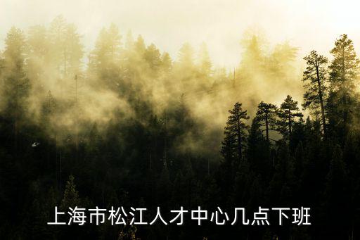 上海市松江人才中心幾點下班