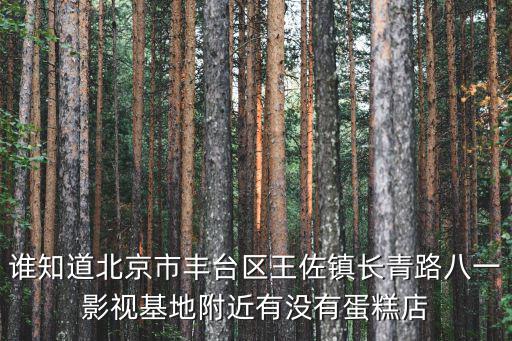 誰知道北京市豐臺區王佐鎮長青路八一影視基地附近有沒有蛋糕店