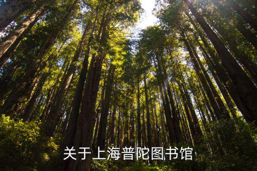 關(guān)于上海普陀圖書館