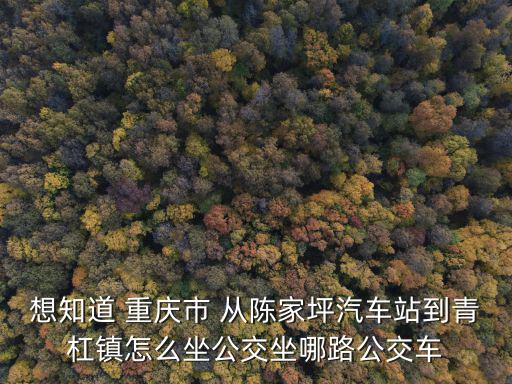 重慶青杠到重慶市，想知道 重慶市 從陳家坪汽車站到青杠鎮(zhèn)怎么坐公交坐哪路公交車
