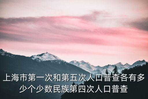 上海市第一次和第五次人口普查各有多少個少數民族第四次人口普查