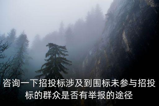 咨詢一下招投標涉及到圍標未參與招投標的群眾是否有舉報的途徑