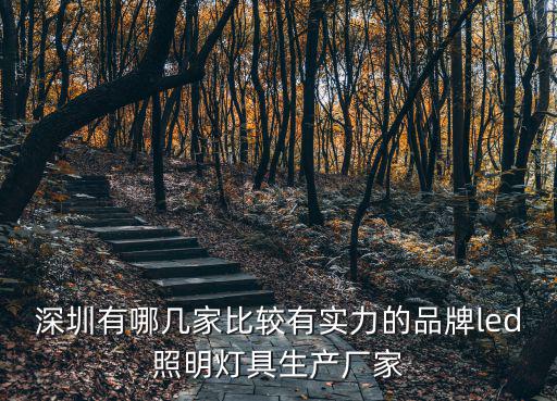 深圳有哪幾家比較有實力的品牌led照明燈具生產廠家