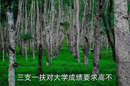 天津市三支一扶支教成績(jī)，三支一扶對(duì)大學(xué)成績(jī)要求高不