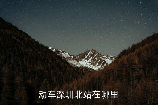 動車深圳北站在哪里