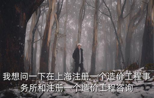 我想問(wèn)一下在上海注冊(cè)一個(gè)造價(jià)工程事務(wù)所和注冊(cè)一個(gè)造價(jià)工程咨詢
