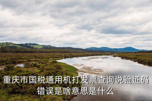 重慶市國稅通用機打發(fā)票查詢說驗證碼錯誤是啥意思是什么