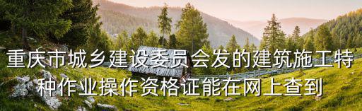 重慶市9大員證書查詢，重慶市建筑施工員證怎么查詢