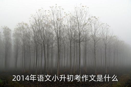 2014年語文小升初考作文是什么