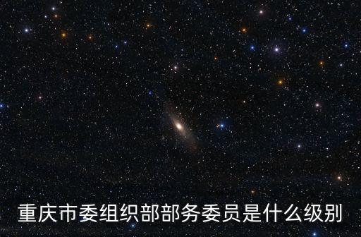 重慶市委組織部部務委員是什么級別