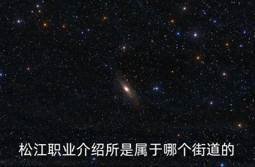 松江職業介紹所是屬于哪個街道的