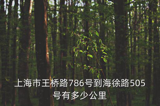 上海市王橋路786號到海徐路505號有多少公里