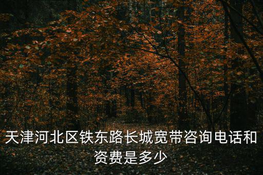 天津市寬帶公司電話，天津海泰寬帶電話是什么