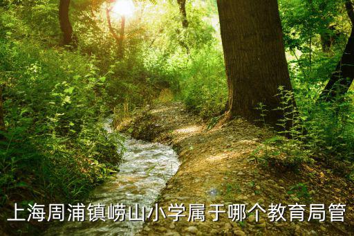 上海周浦鎮嶗山小學屬于哪個教育局管
