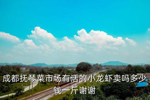成都撫琴菜市場有活的小龍蝦賣嗎多少錢一斤謝謝