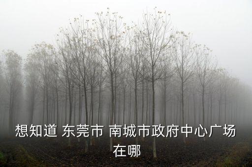 想知道 東莞市 南城市政府中心廣場 在哪