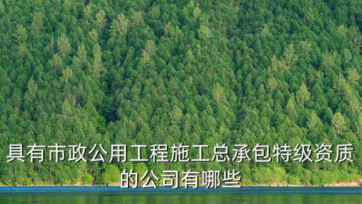 具有市政公用工程施工總承包特級資質(zhì)的公司有哪些